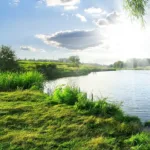 Flusslandschaft in der Oberpfalz